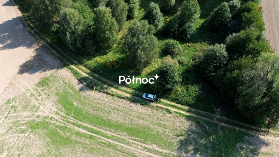 Zdjęcie 3