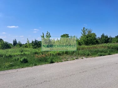 Działka usługowa Nowa Wieś