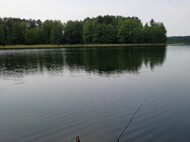 Działka rolna Dobra Wola sprzedam