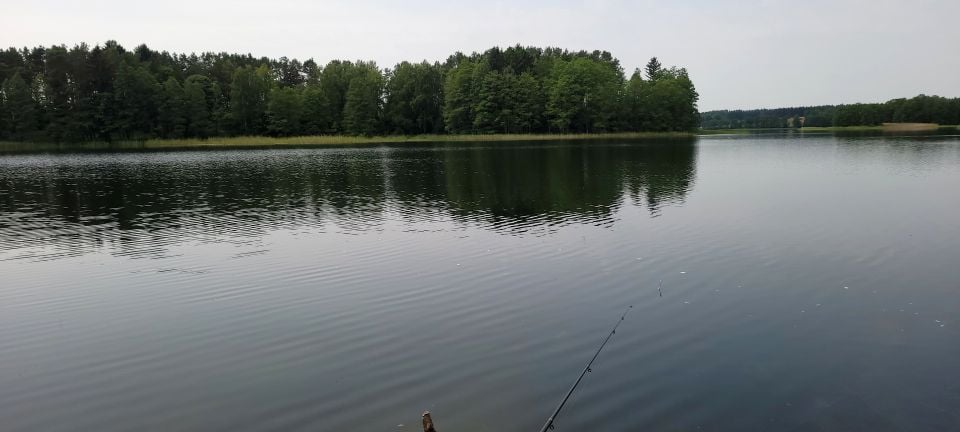 Działka rolna Dobra Wola sprzedam