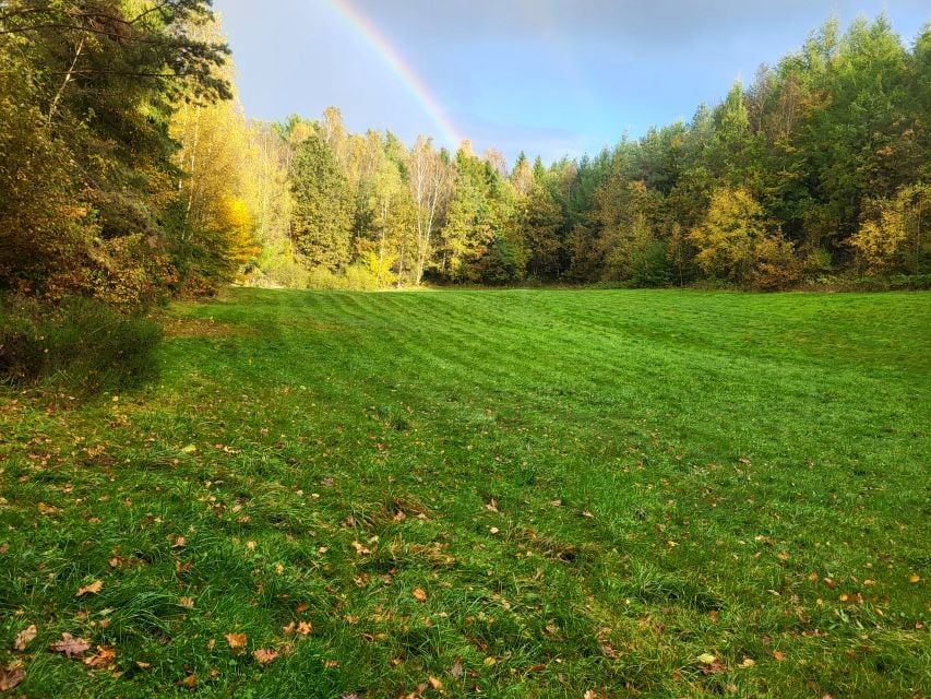 Działka siedliskowa Brodnica Górna
