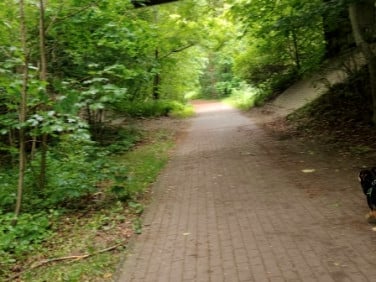 Działka budowlana Skarszewy