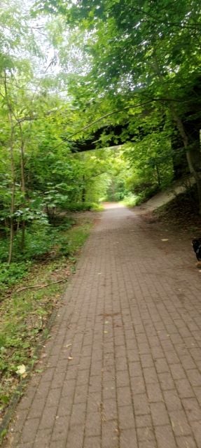 Działka budowlana Skarszewy