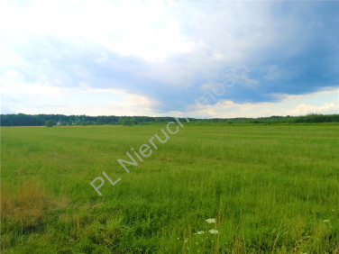 Działka Poręby