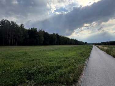 Działka Lesiew