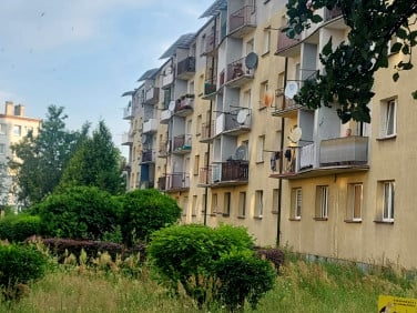 Mieszkanie Zabrze