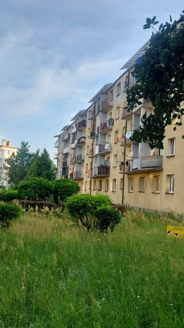 Mieszkanie Zabrze