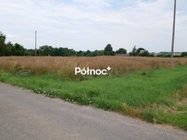 Działka budowlana Żeliszów