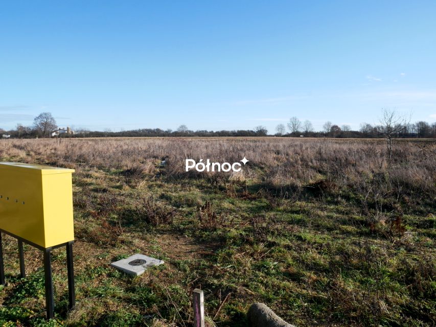 Zdjęcie 2