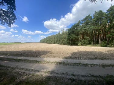 Działka budowlana Niemojewko