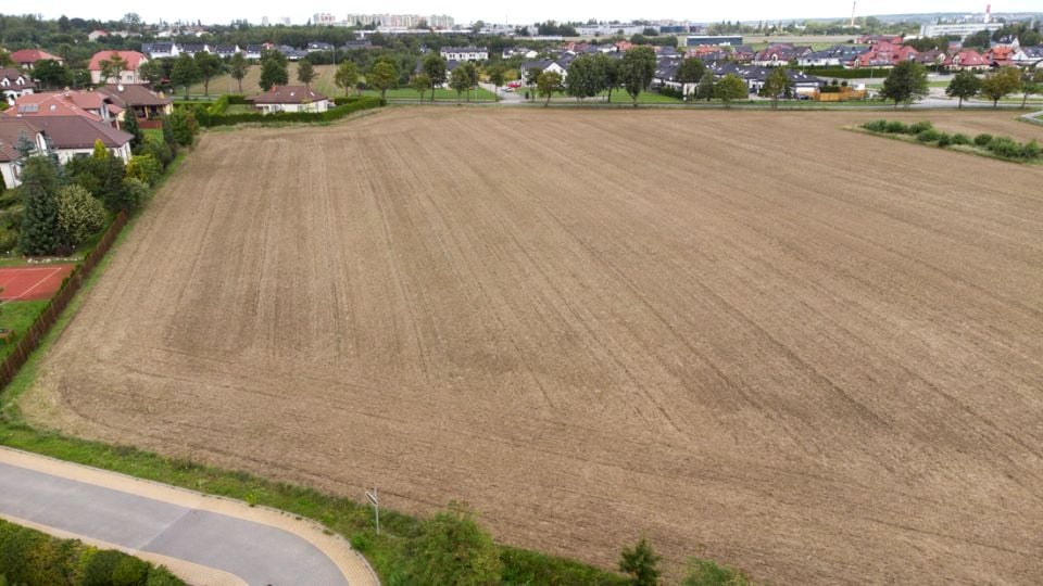 Zdjęcie 3