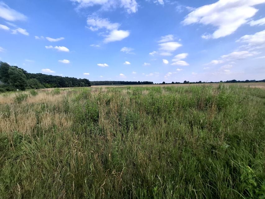 Działka budowlana Legnica