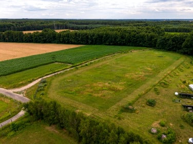 Działka przy lesie