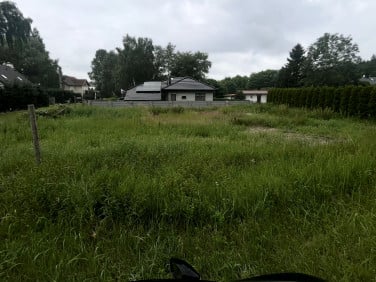 Działka przy lesie