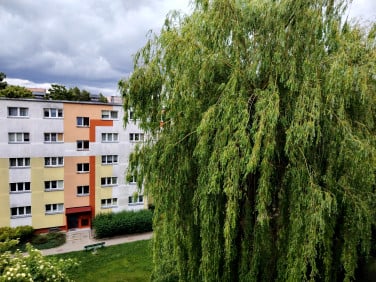 Mieszkanie Łódź