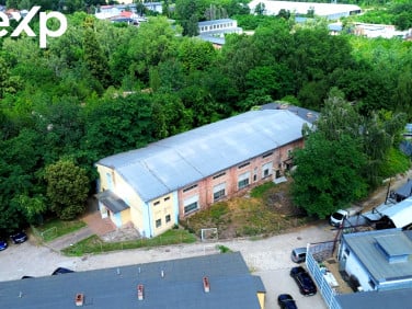 Lokal Żarów