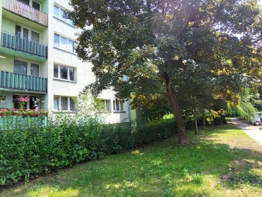 Mieszkanie Łódź
