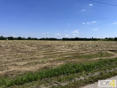 Działka Kupienin