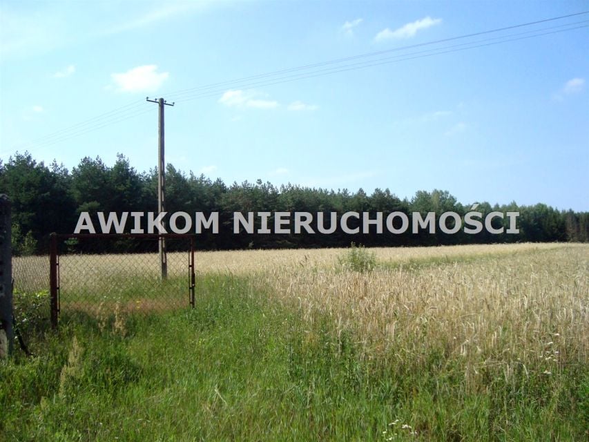 Zdjęcie 3