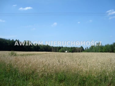Działka siedliskowa Borowiec