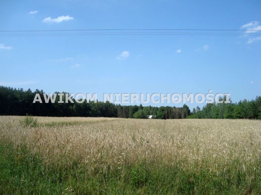 Działka siedliskowa Borowiec