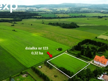 Działka usługowa Goworów