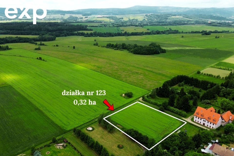 Działka usługowa Goworów