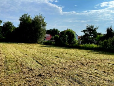 Pusta działka Brzezina