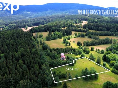 Działka Międzygórze