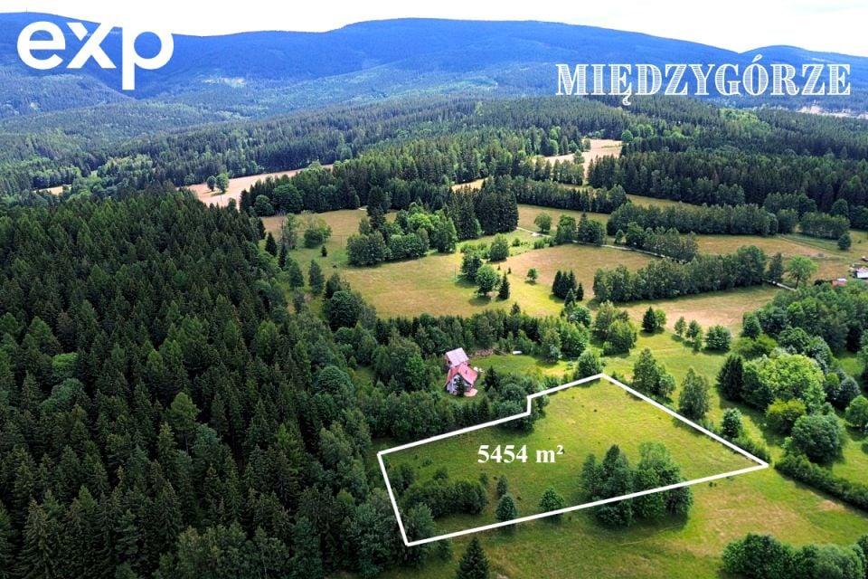 Działka Międzygórze