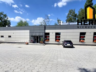 Lokal Rybnik