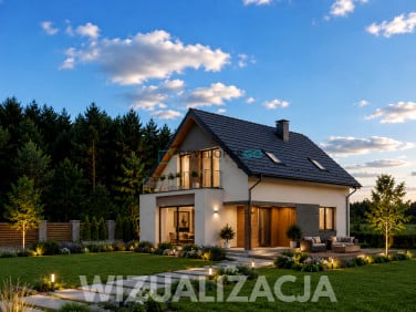 Działka Olmonty