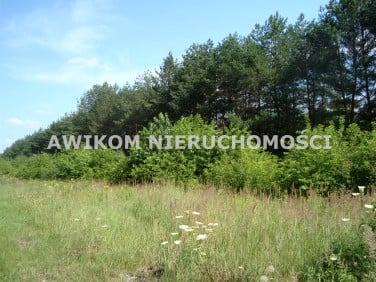 Działka siedliskowa Many