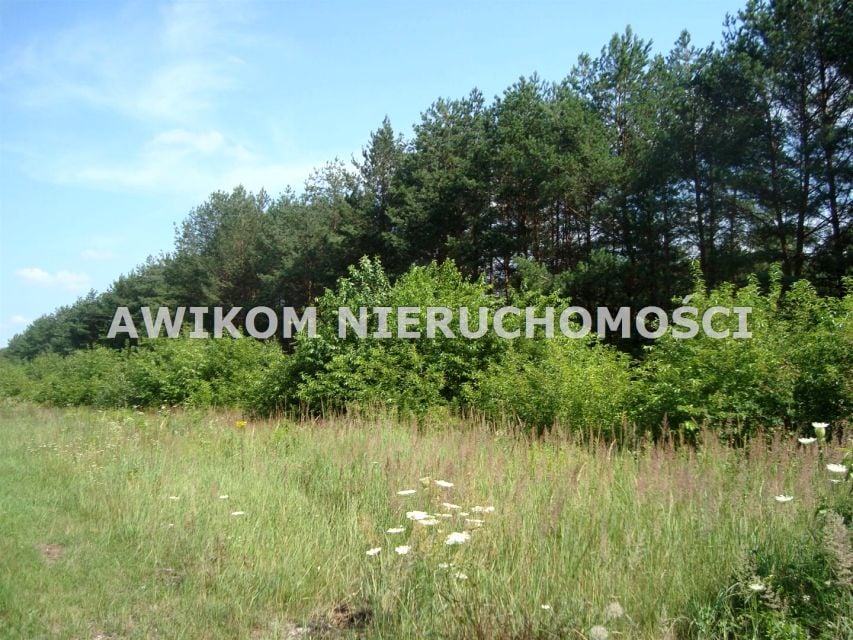 Działka siedliskowa Many