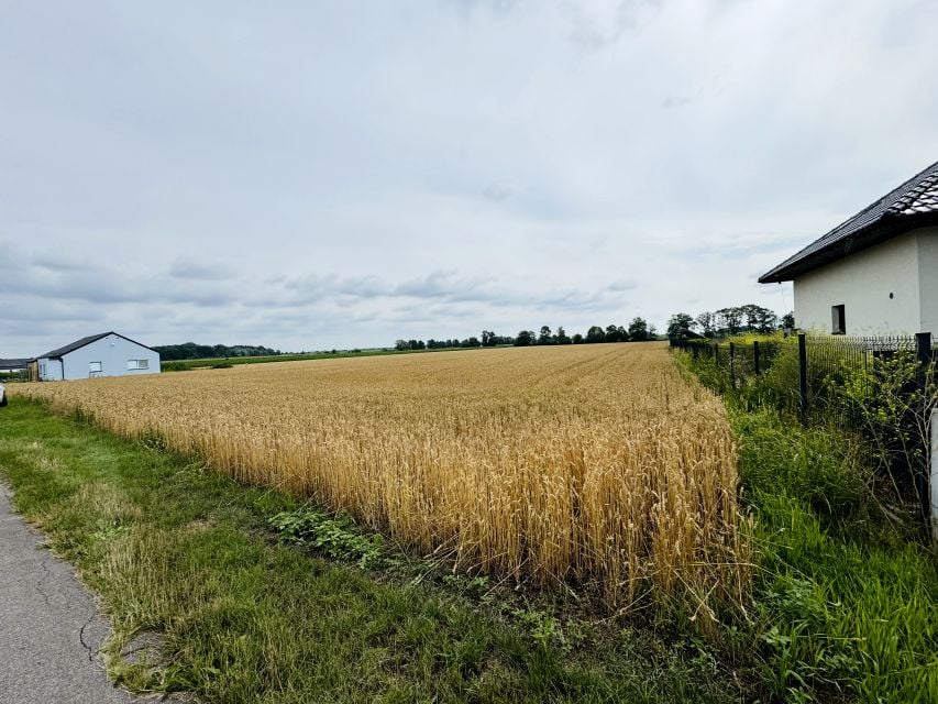 Działka Wierzbice