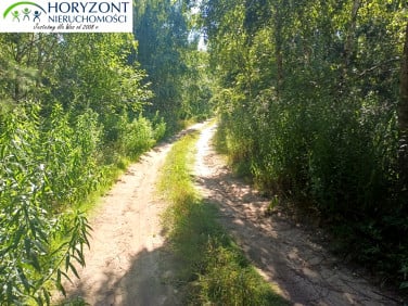 Działka budowlana Borzestowo