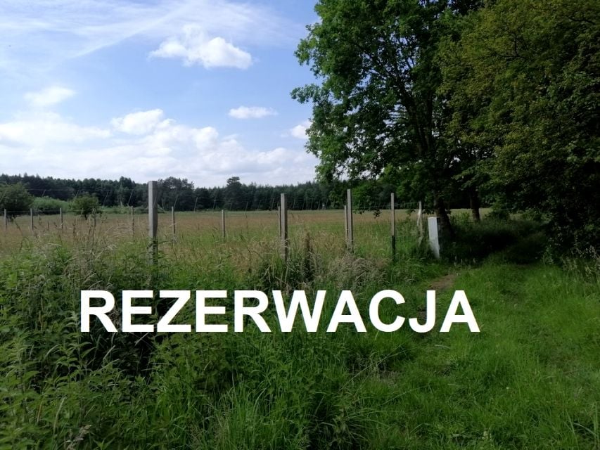 Działka PRZEMOCZE