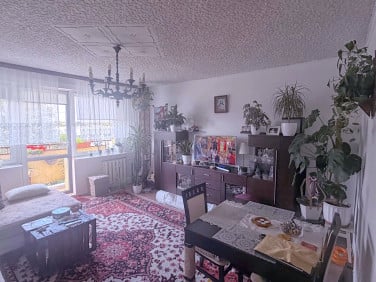 Mieszkanie Szczecin