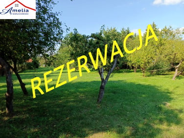Działka Morąg