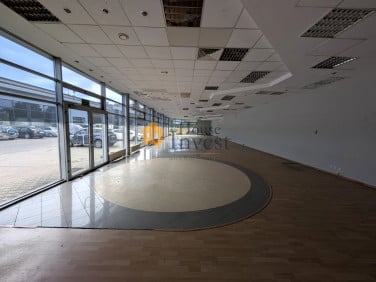 Lokal Legnica