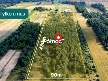 Działka przy lesie