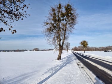 Działka rolna Strupin Duży