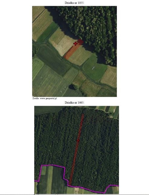 Działka rolna Siemierz