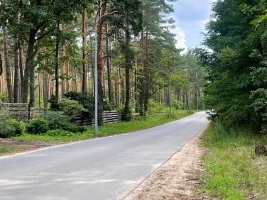 Działka przy lesie