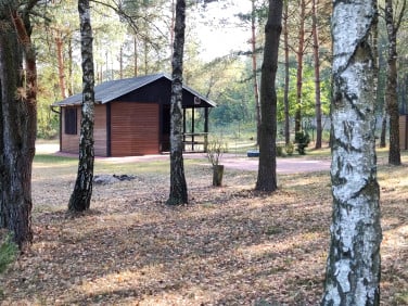 Działka rekreacyjna Popielżyn Dolny