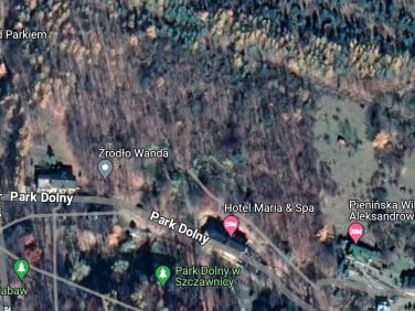 Działka leśna Szczawnica sprzedam