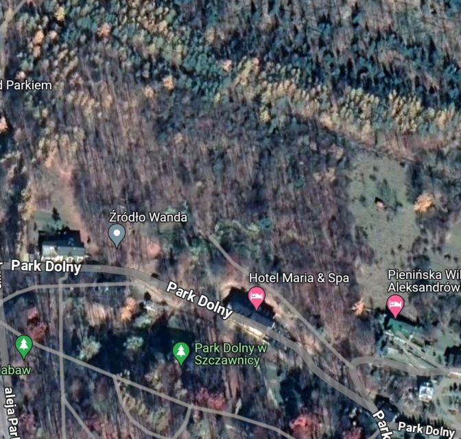Działka leśna Szczawnica sprzedam