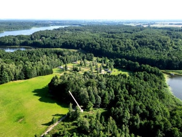 Działka Winiec