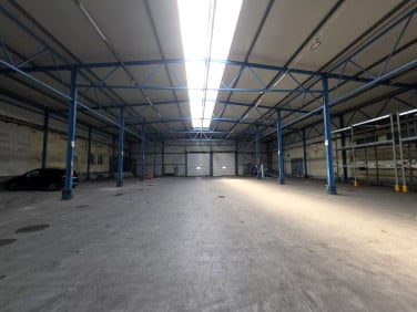 Lokal Brzeziny