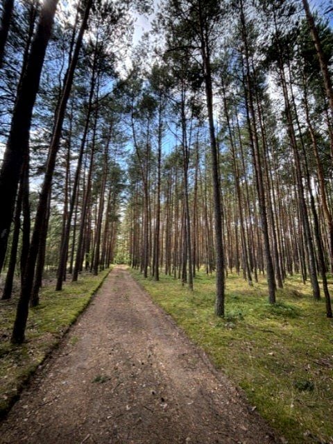 Działka rekreacyjna Przybynów